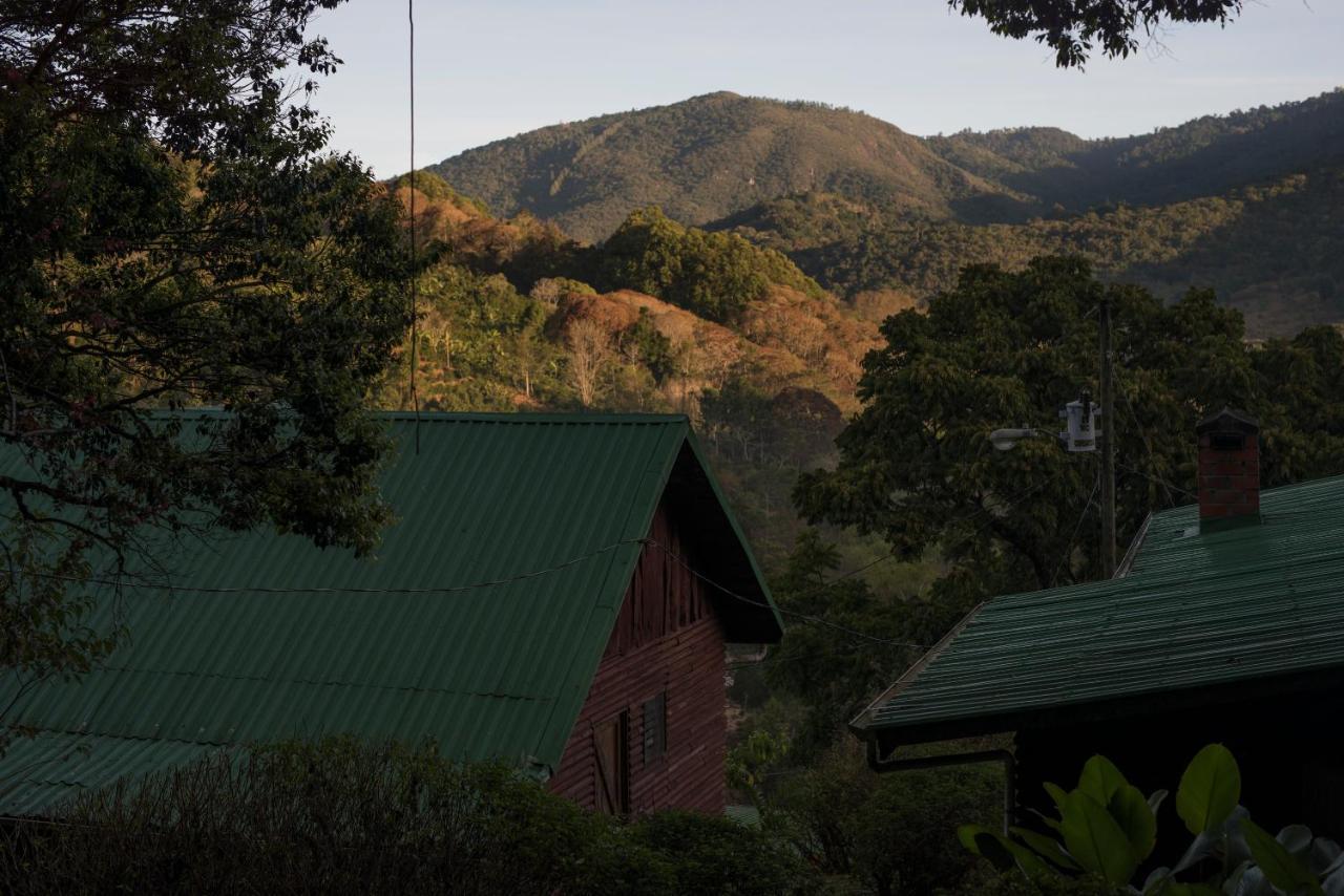 Cedrela Eco-Lodge & Restaurante Copey ภายนอก รูปภาพ