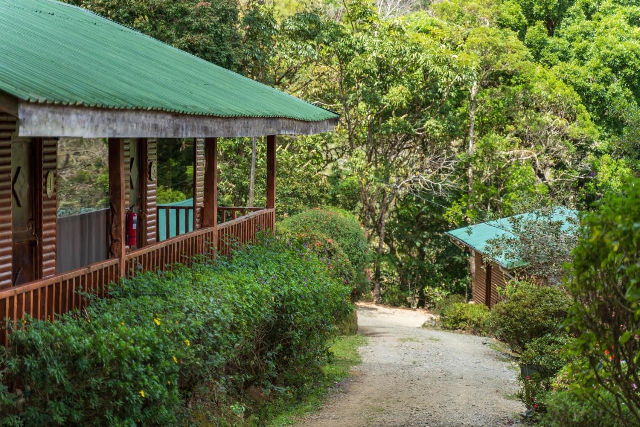 Cedrela Eco-Lodge & Restaurante Copey ภายนอก รูปภาพ